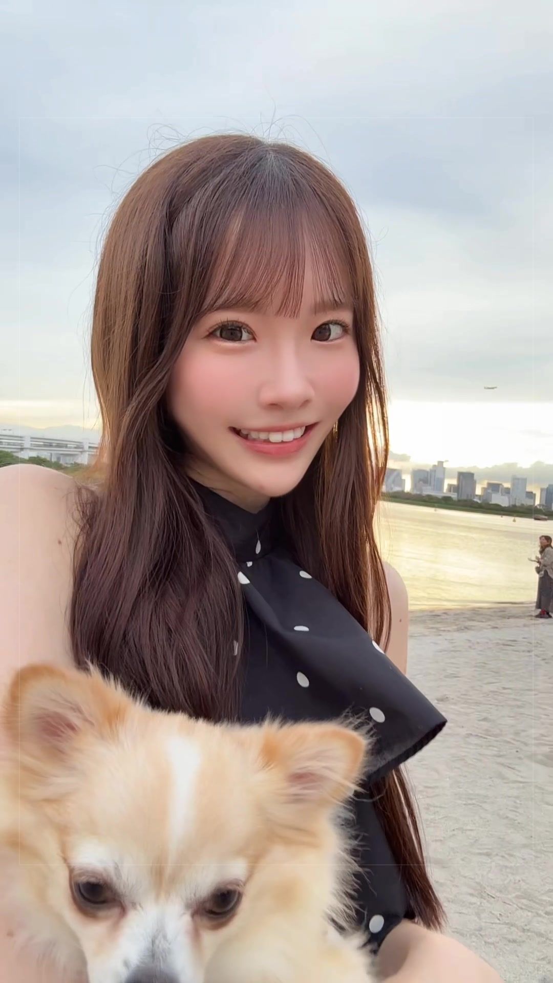 @白上咲花