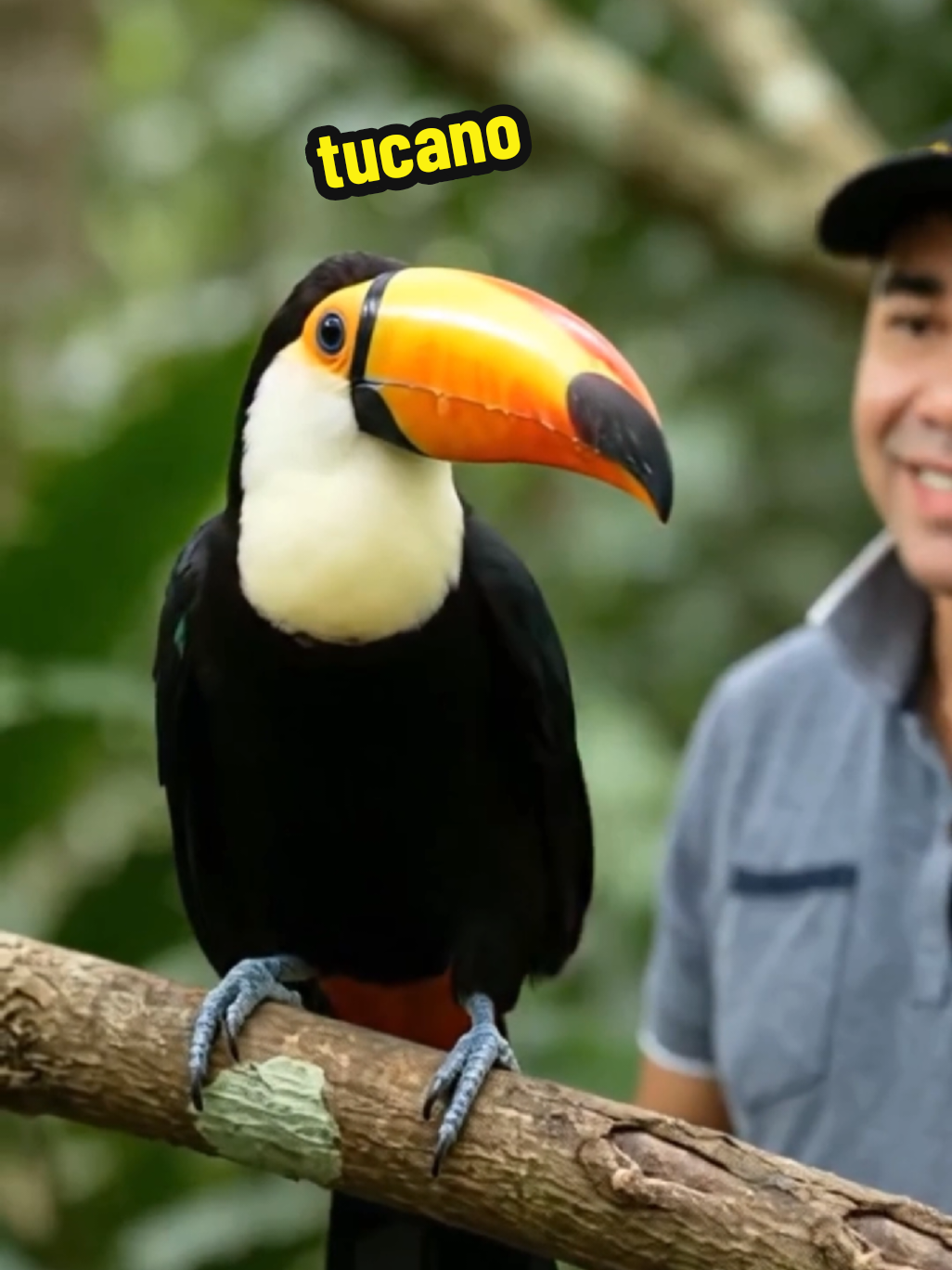 @GOROROBA 2026