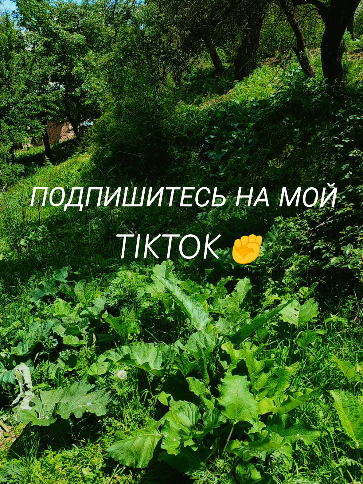 @꧁ UMARJAN RAHIMOV ꧂