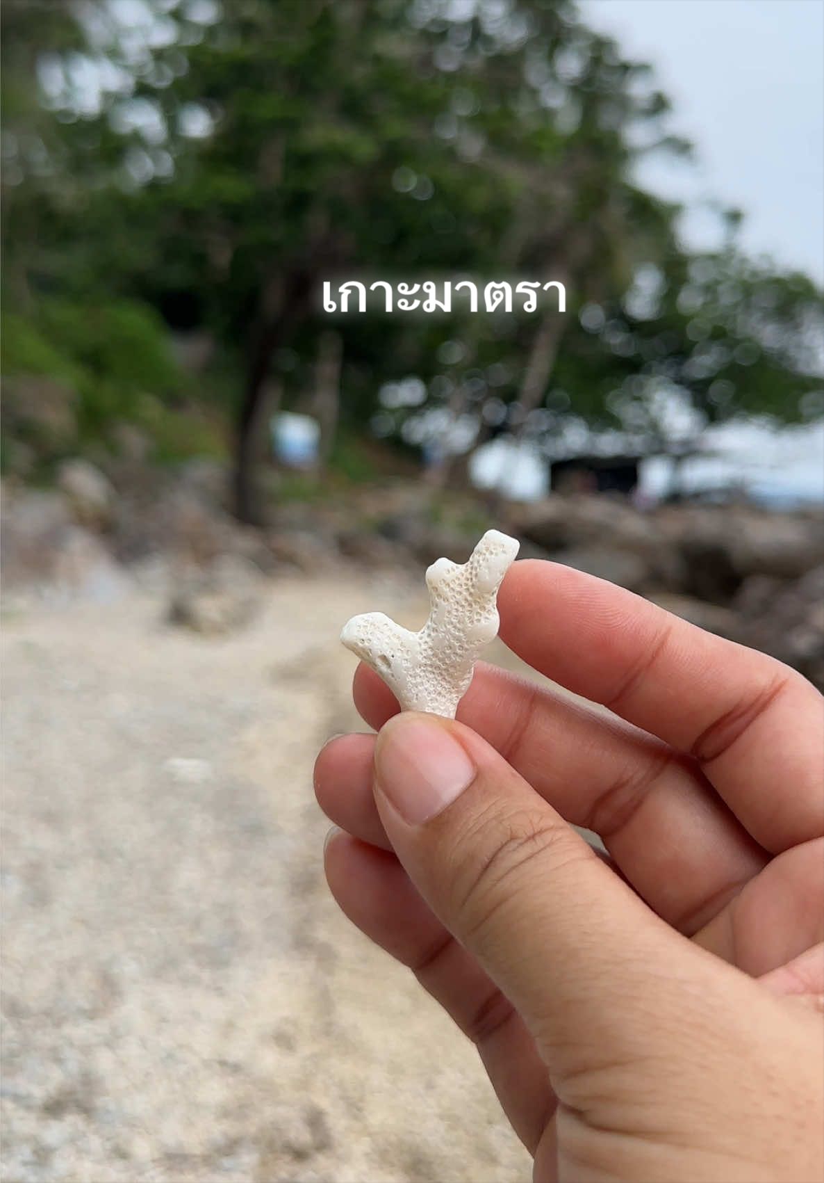 @เบญที่ชอบลุย