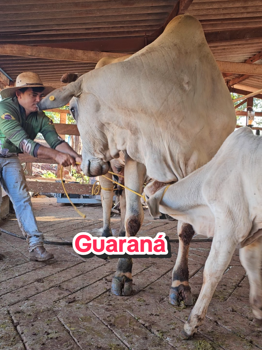 @Geovane neto