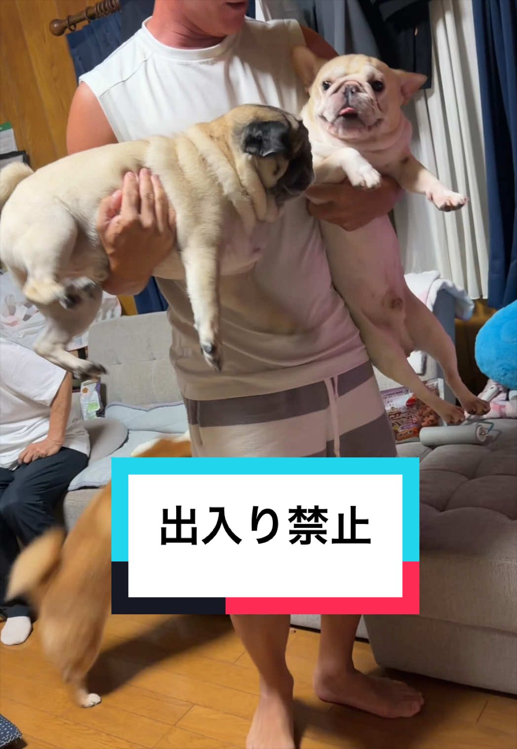 @9/28🎂おじ生誕祭🐶とん&ぺっぺこぺー🦊