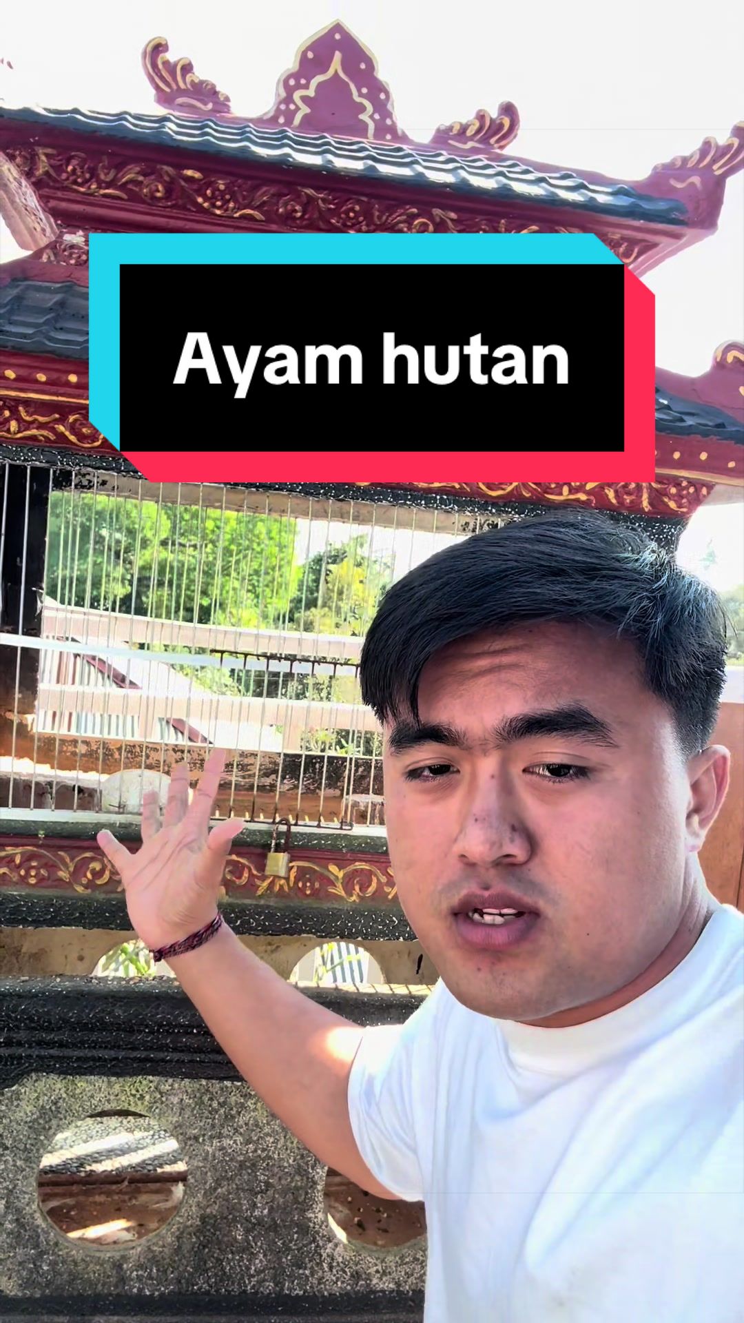 @Doni artawan