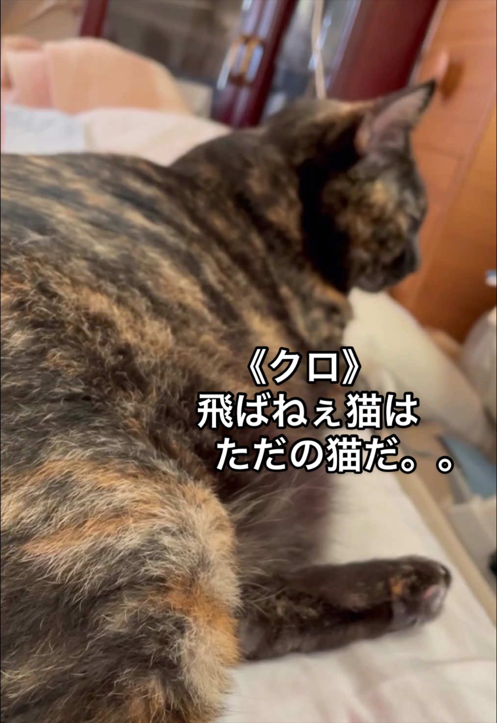 @聴々物語PROJECT