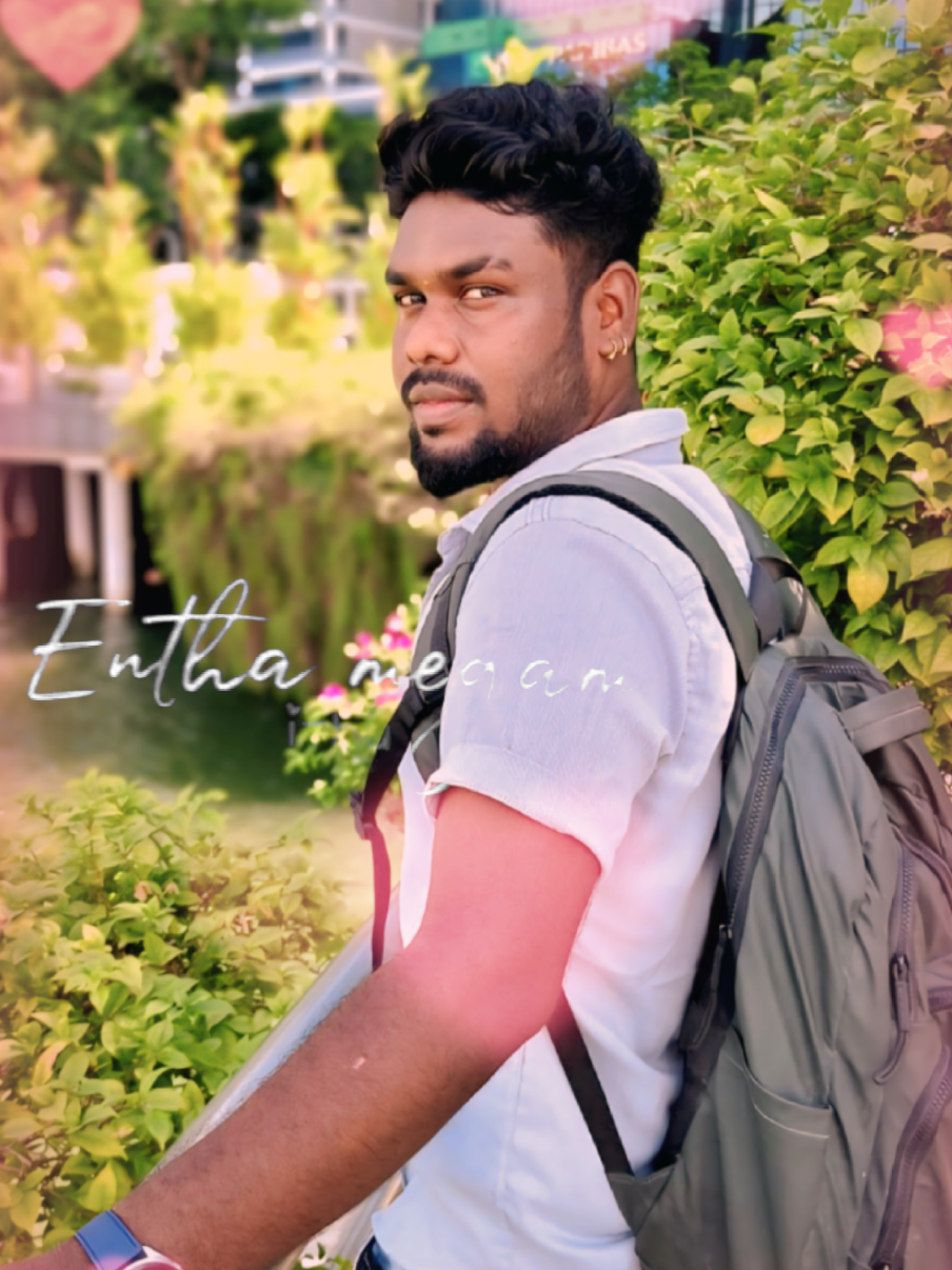 @vickey tn63