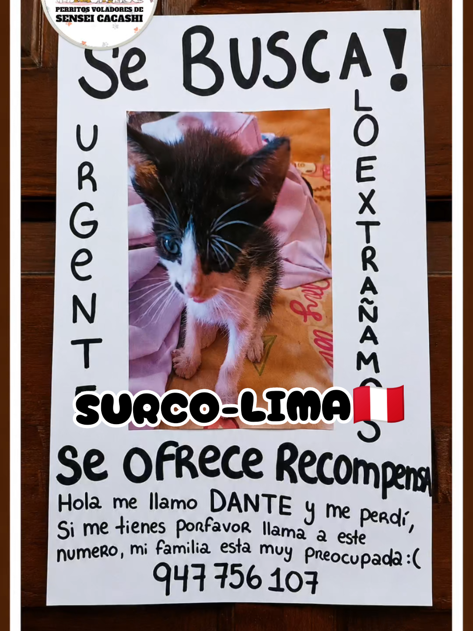 @Perritos Voladores