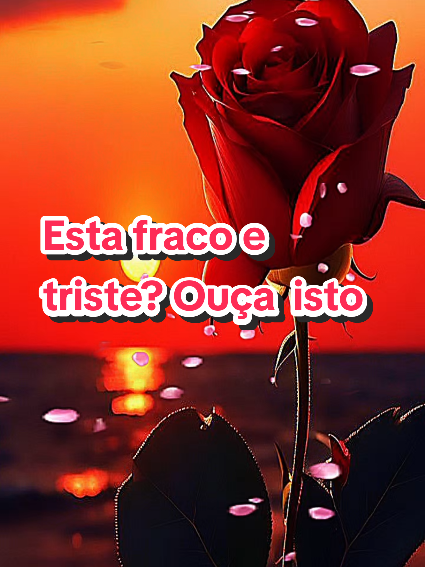 @Carlos