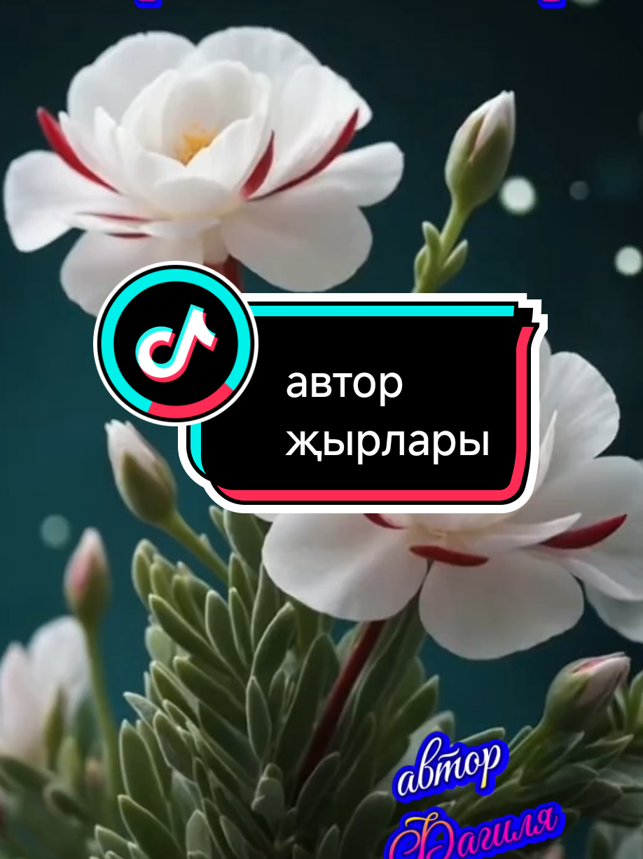 @💕☪татвидео открытки☪︎ 💕