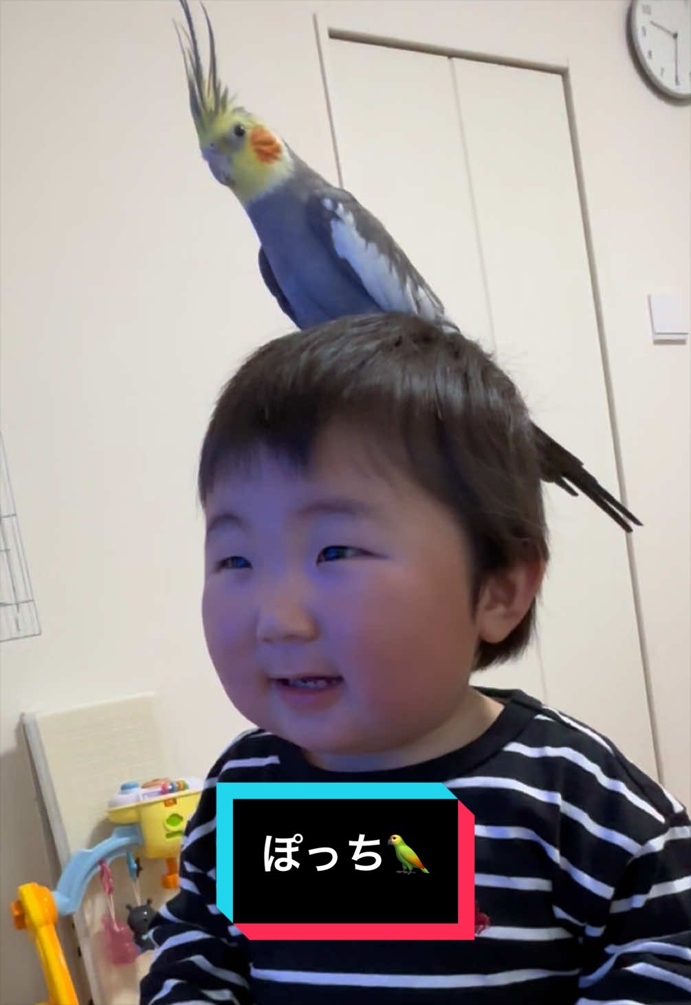 @ぬぬまる