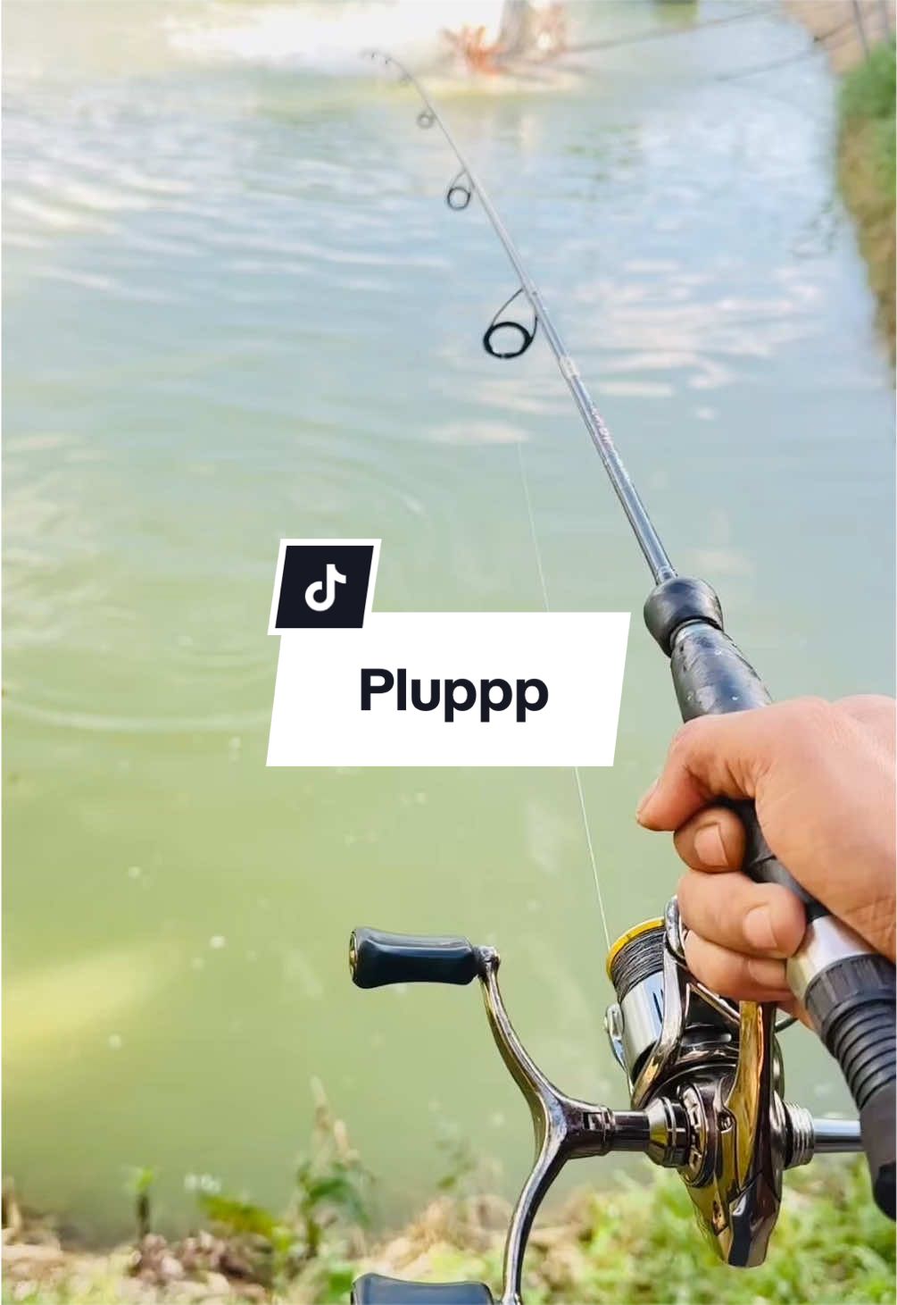 @#NasCaster🎣