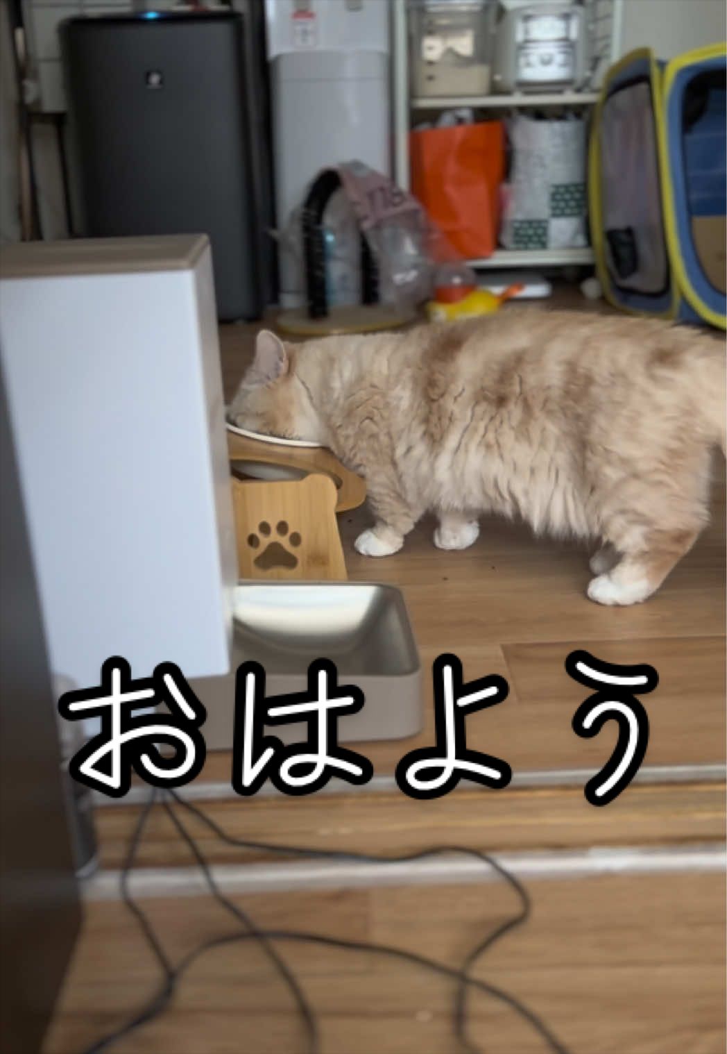 @縫くんと私