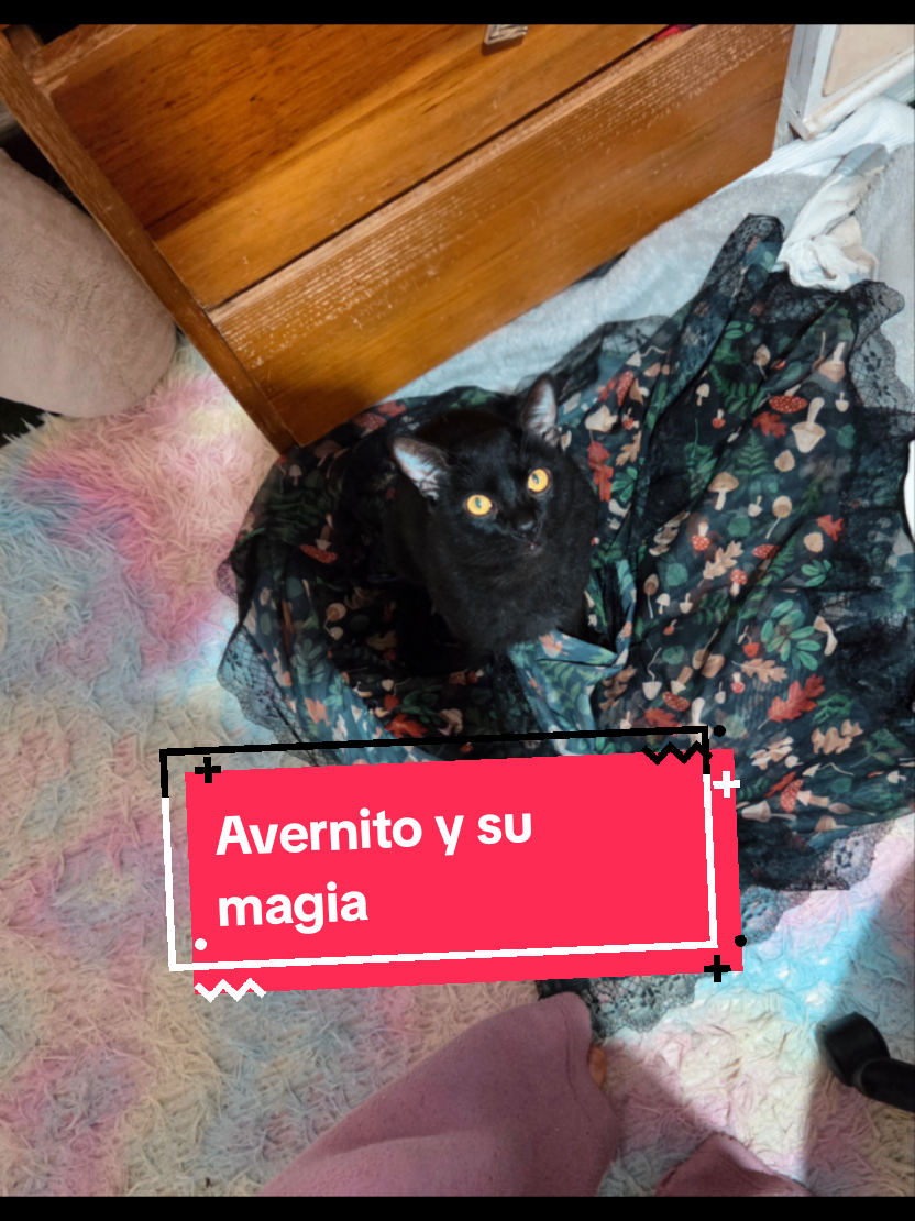 @Selene Ikbal