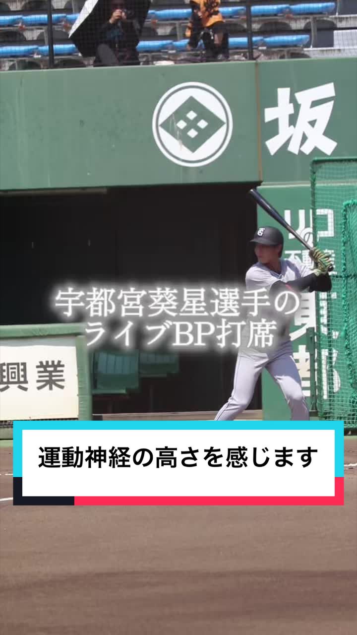@小早川宗一郎【日刊スポーツ巨人・侍担当】