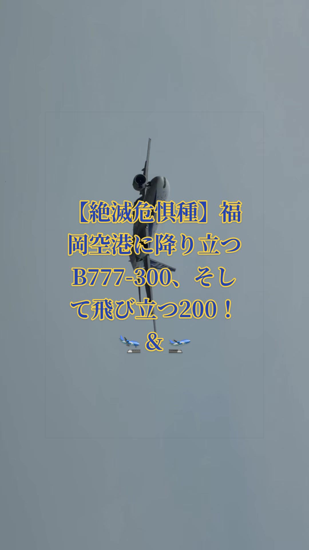 @✈️トト旦