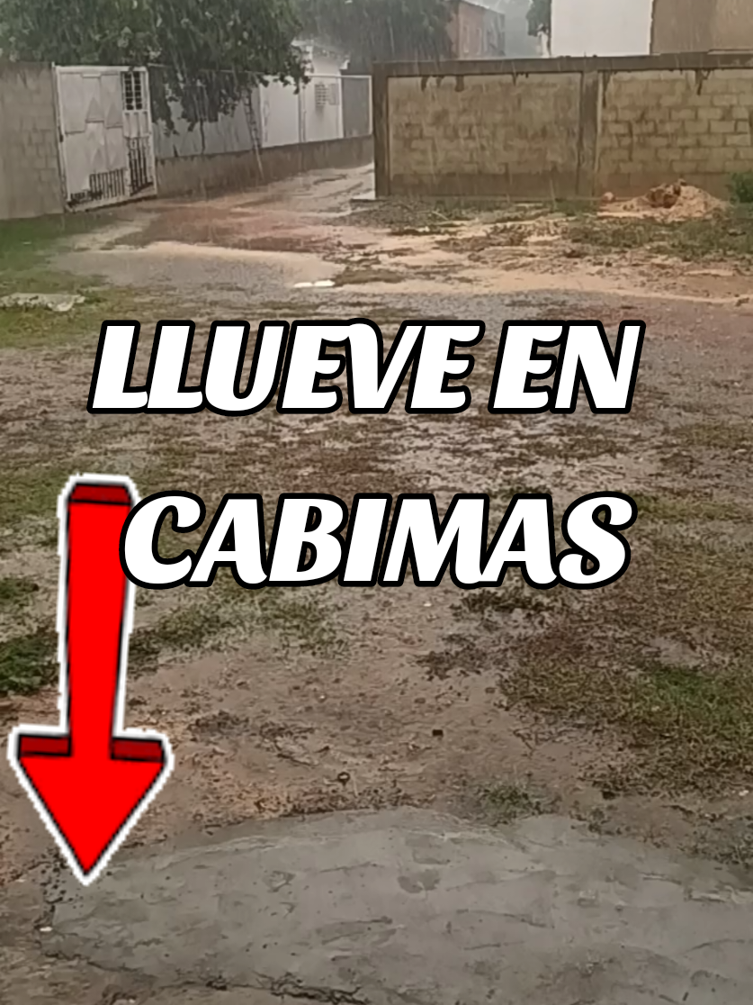 @MIMUNDO1981