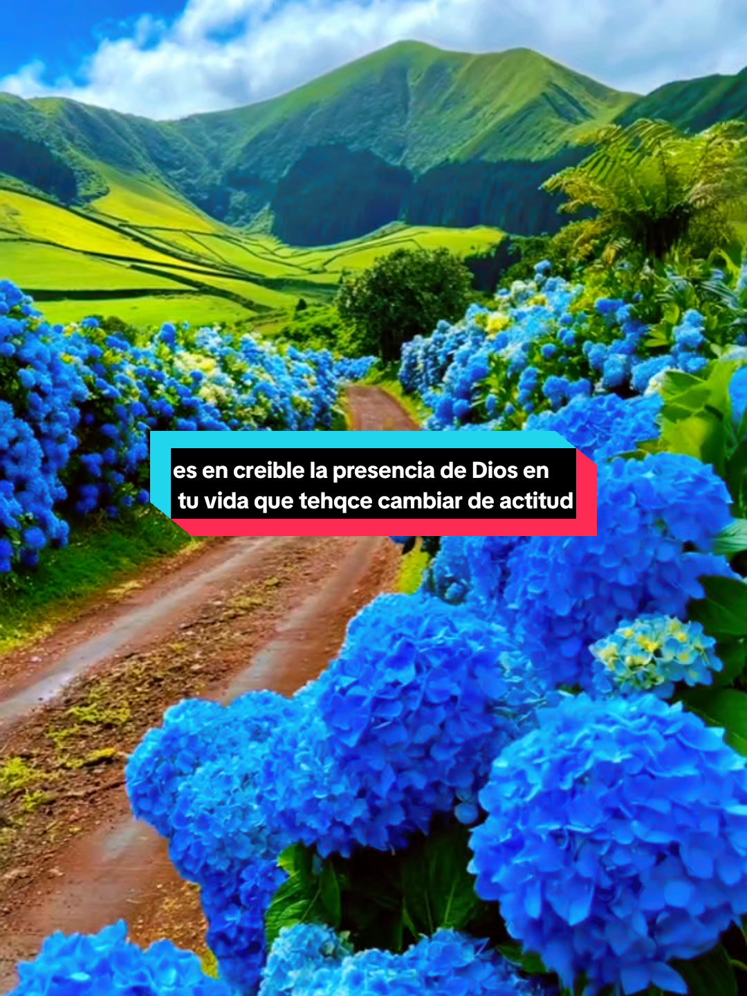 @@Teo Rodriguez