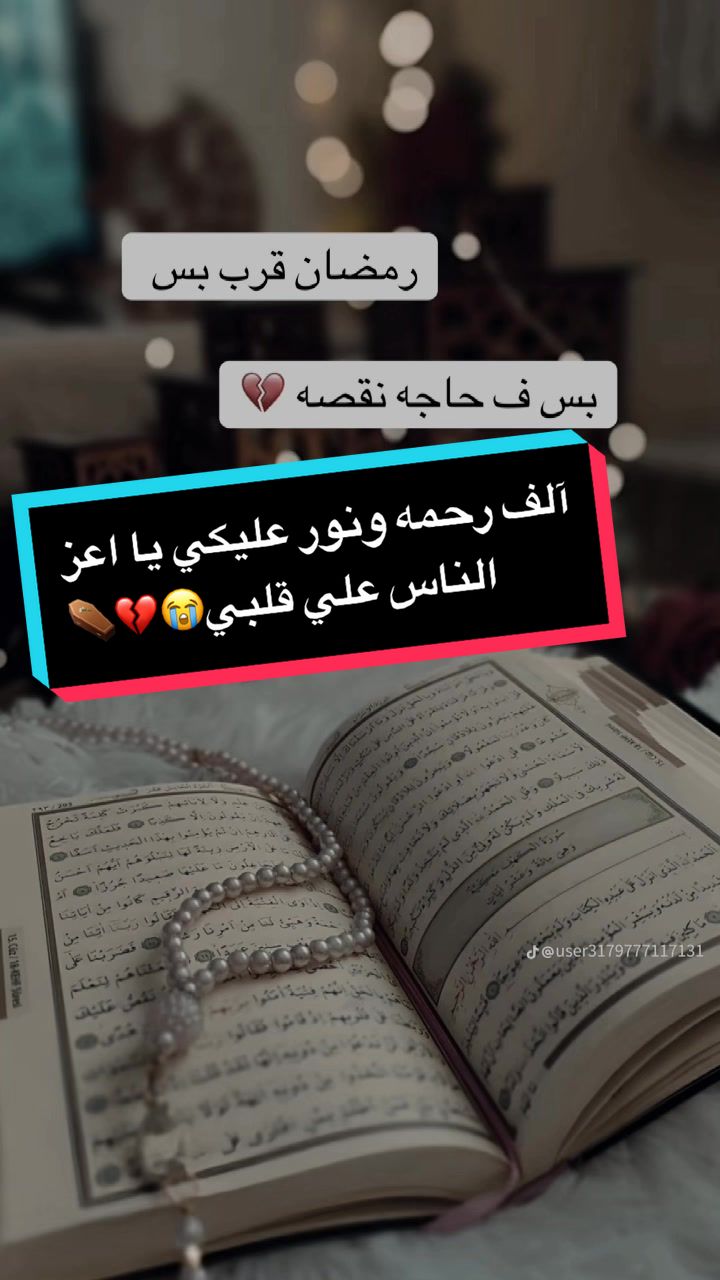 @🦅﮼لتركي✰🐺🎖