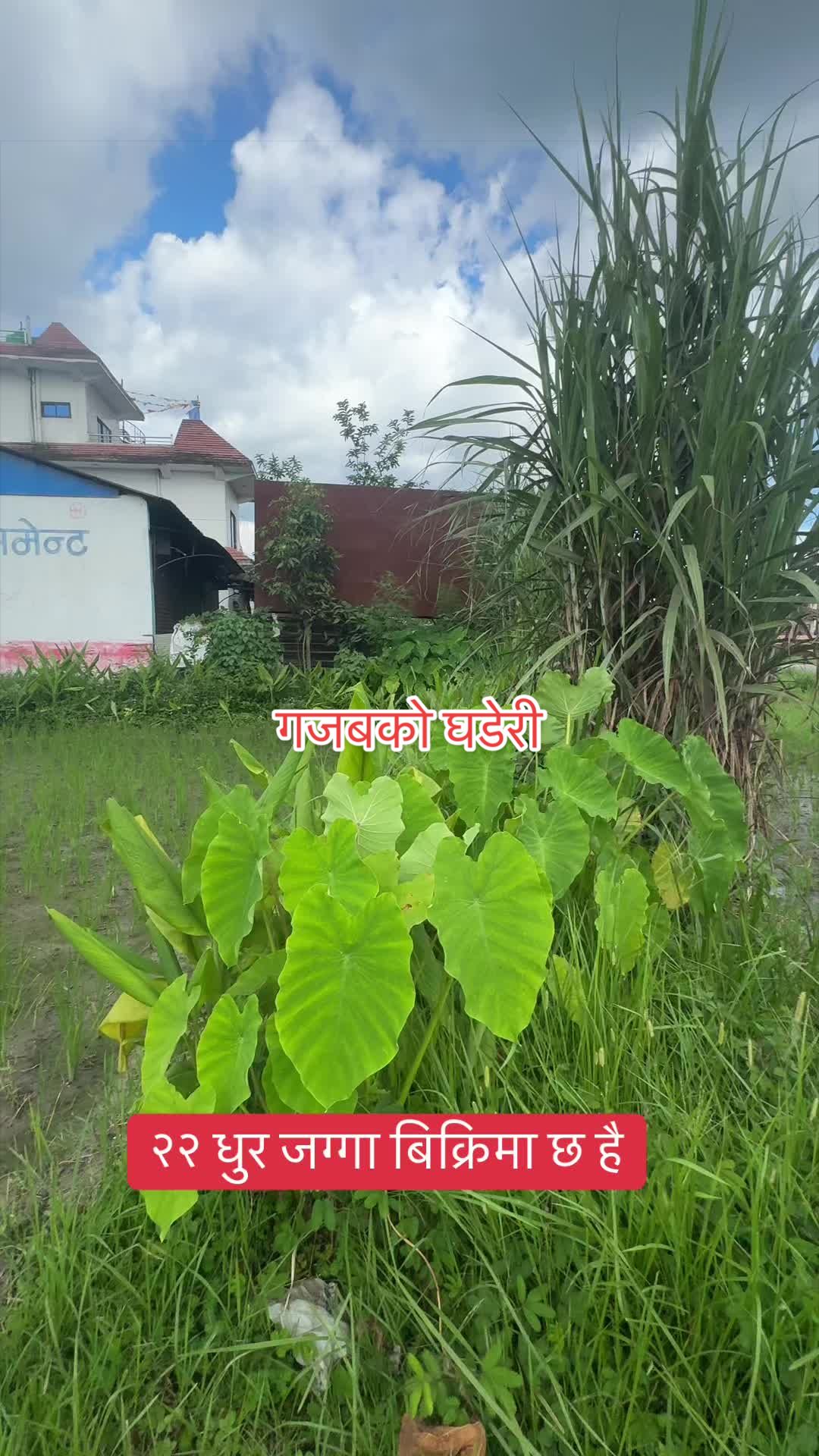 @Byapakshrestha