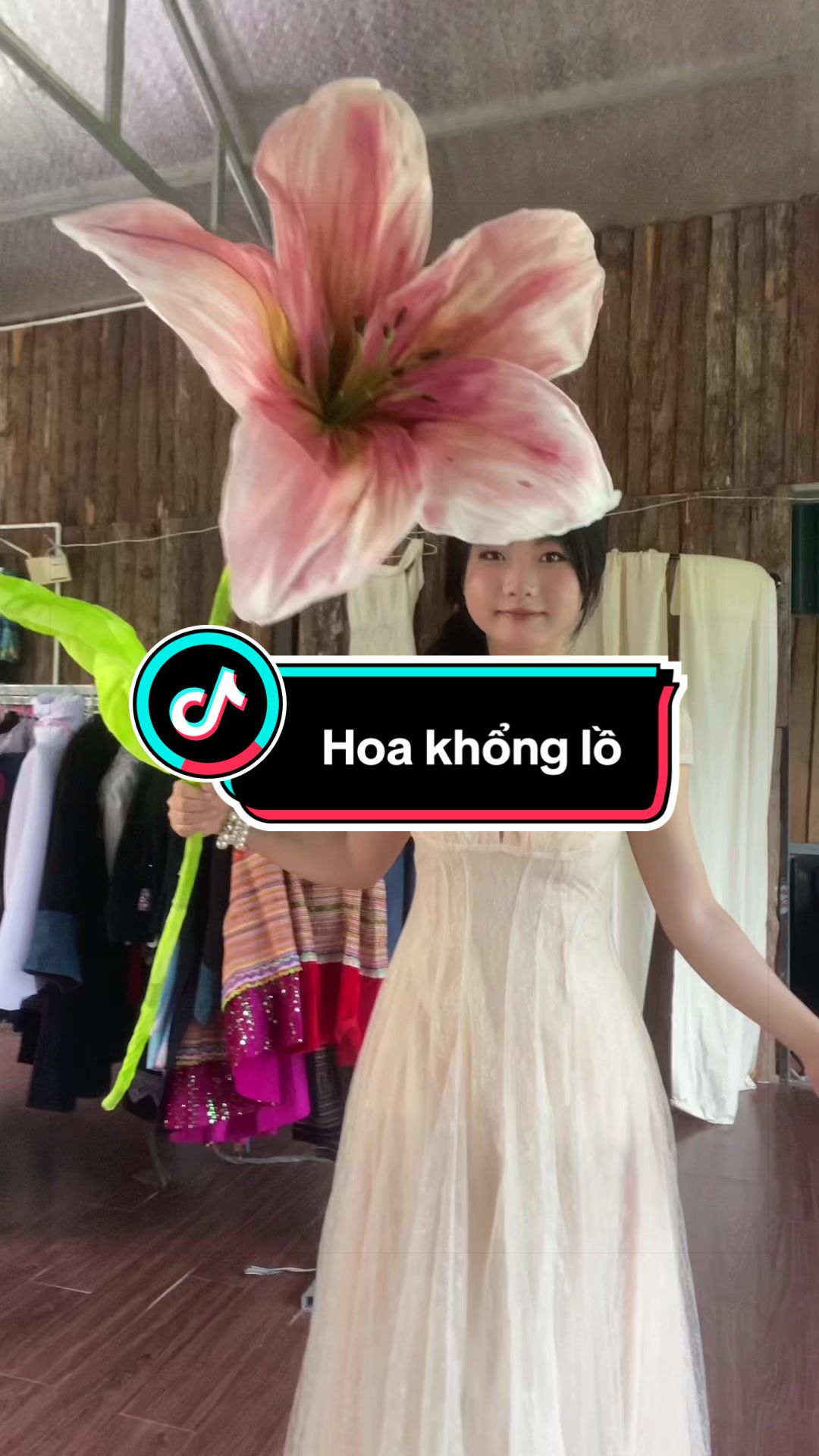@Mẩy Hí💜