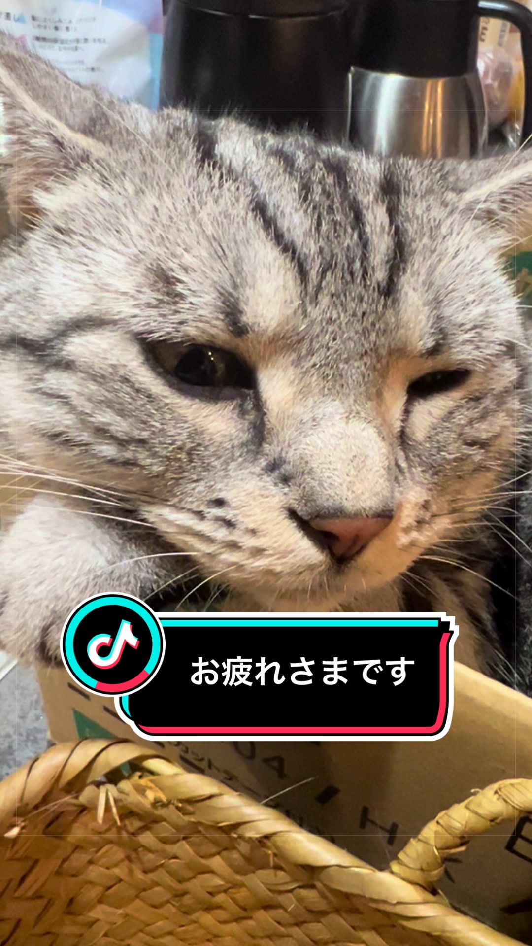 @稲荷弥勒