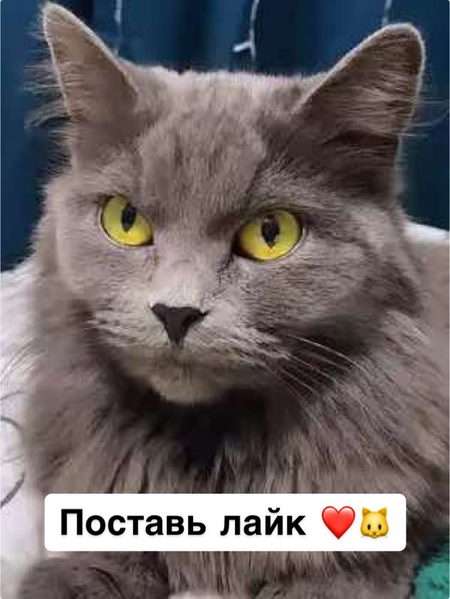 @businka_com
