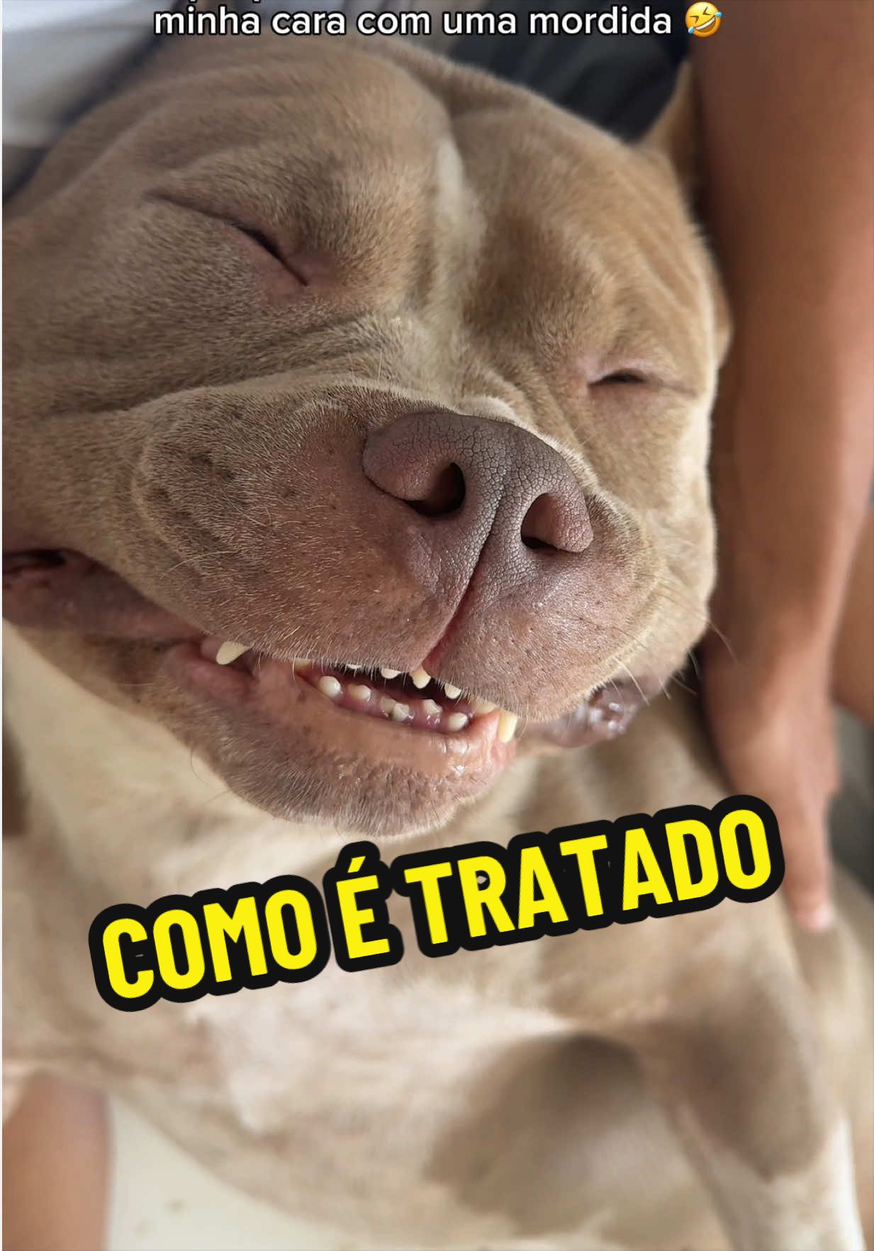 @Fam&iacute;lia Ragnar 🐶