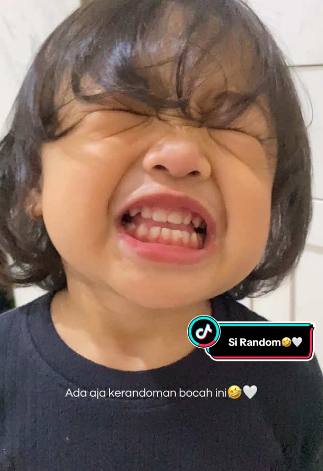 @Bunda AL Hobby Review