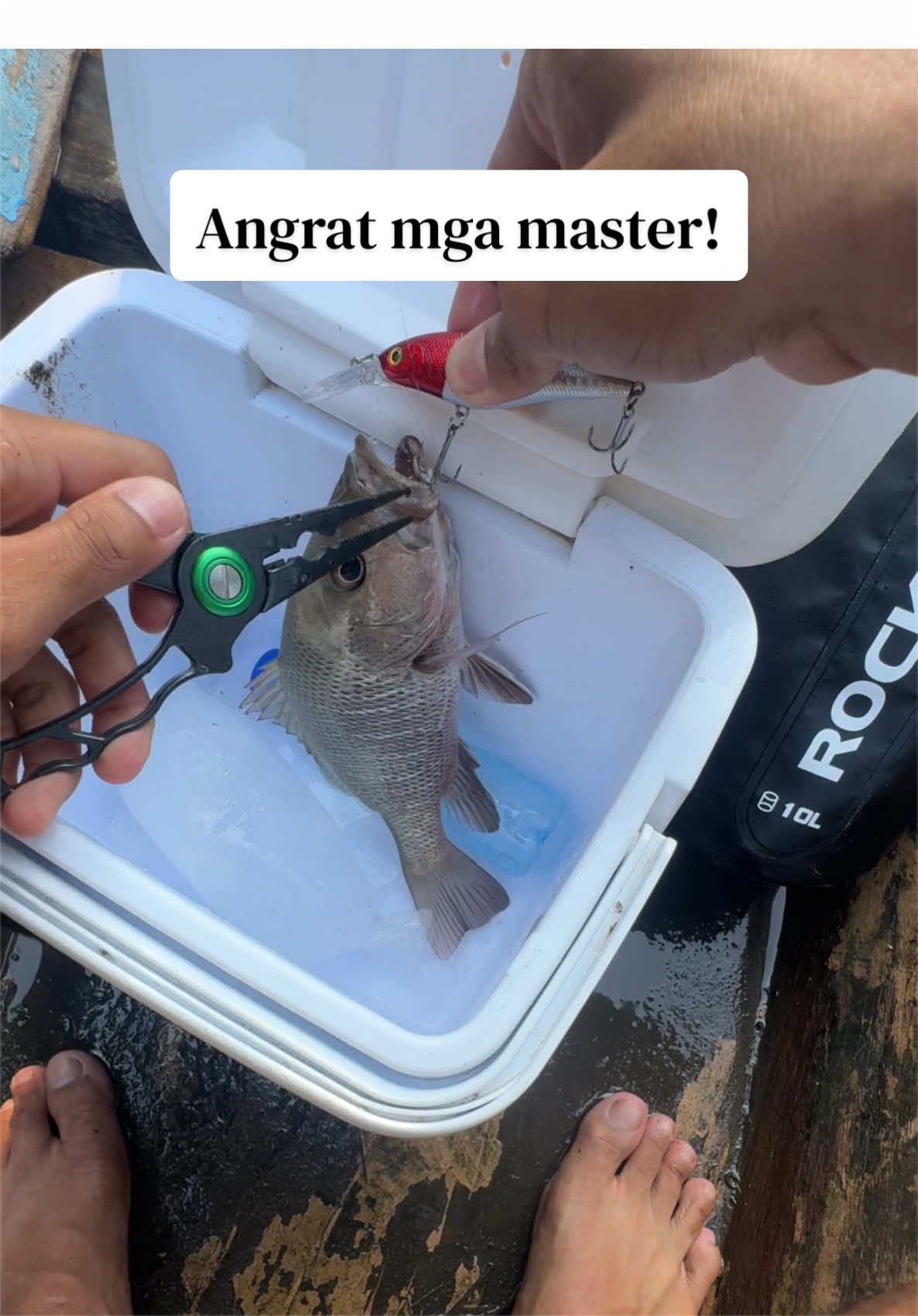 @Wilmer&rsquo;s Fishing Adventure