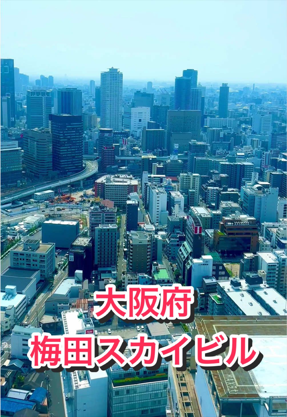 @音丸ぽん🇯🇵