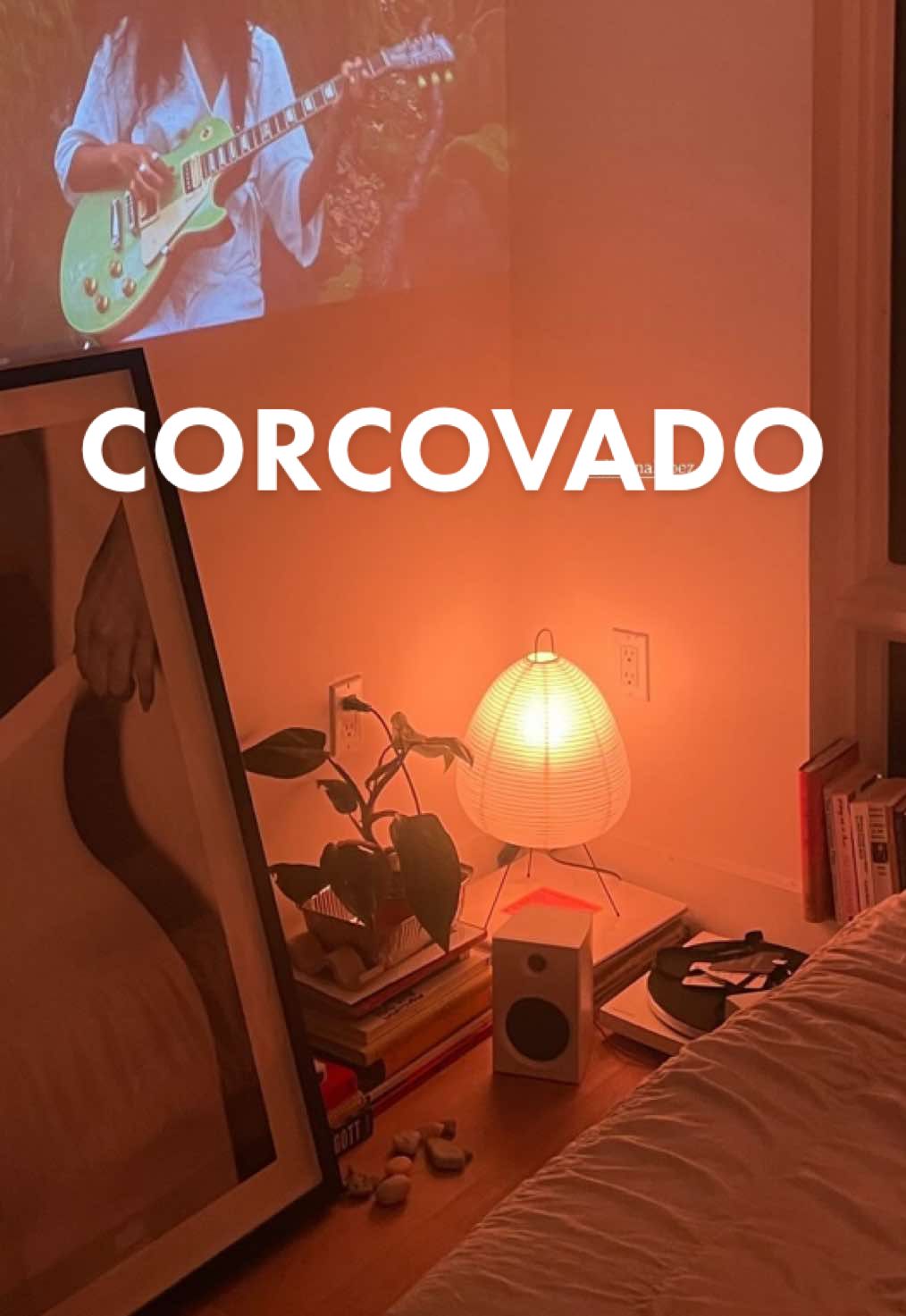 @amarigontijo
