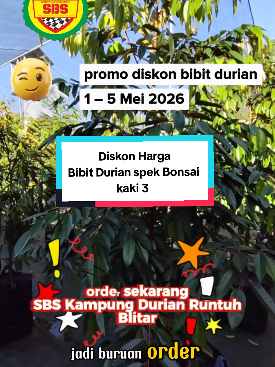 @Produksi Buah_SBS