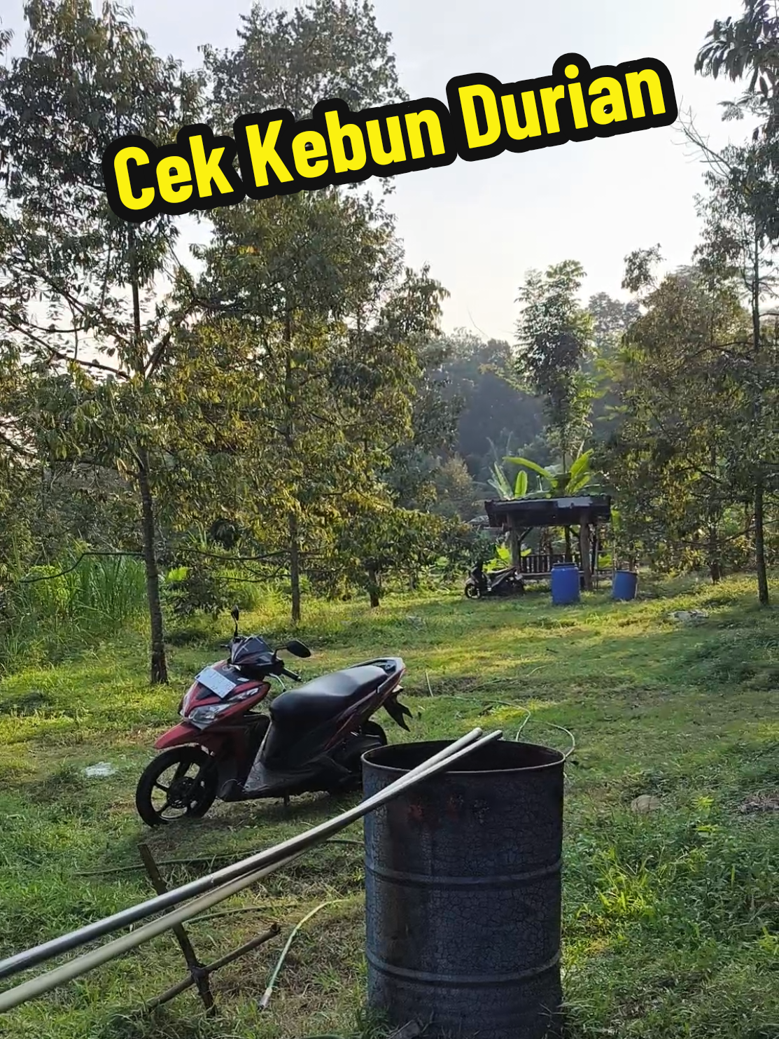 @Alas Durian Jepara