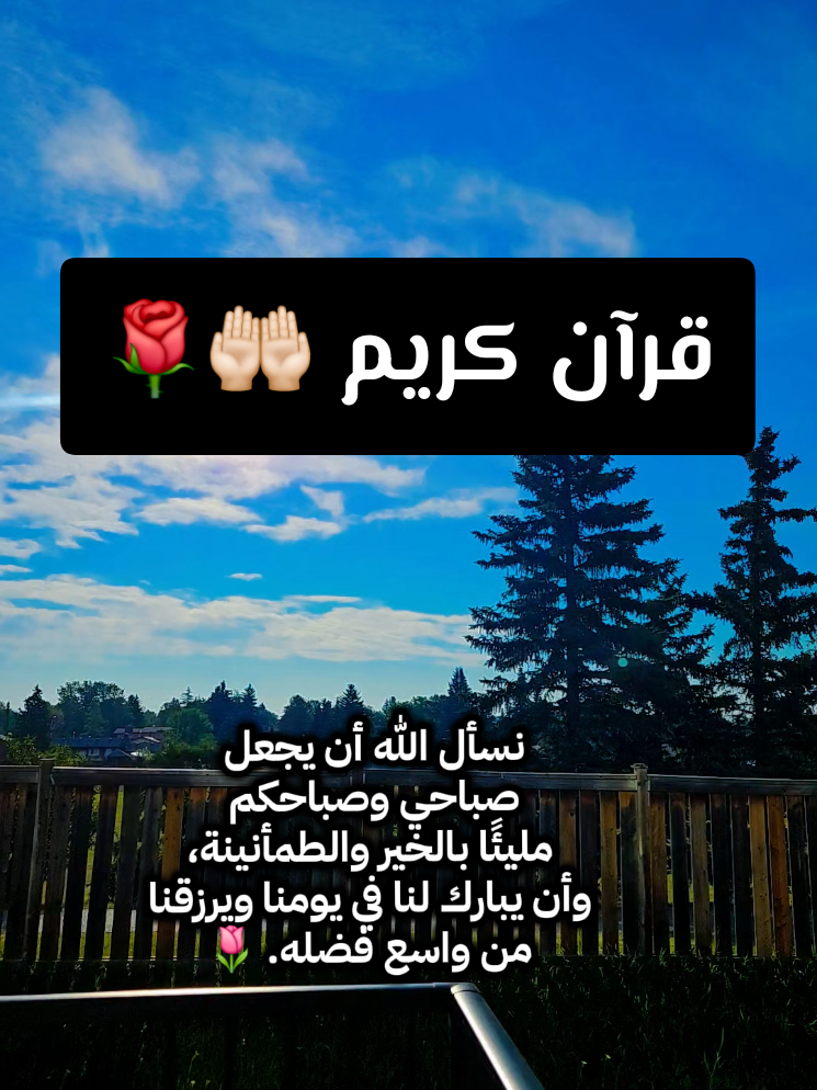 @🍃🌸Tahani Khafas🌸🍃