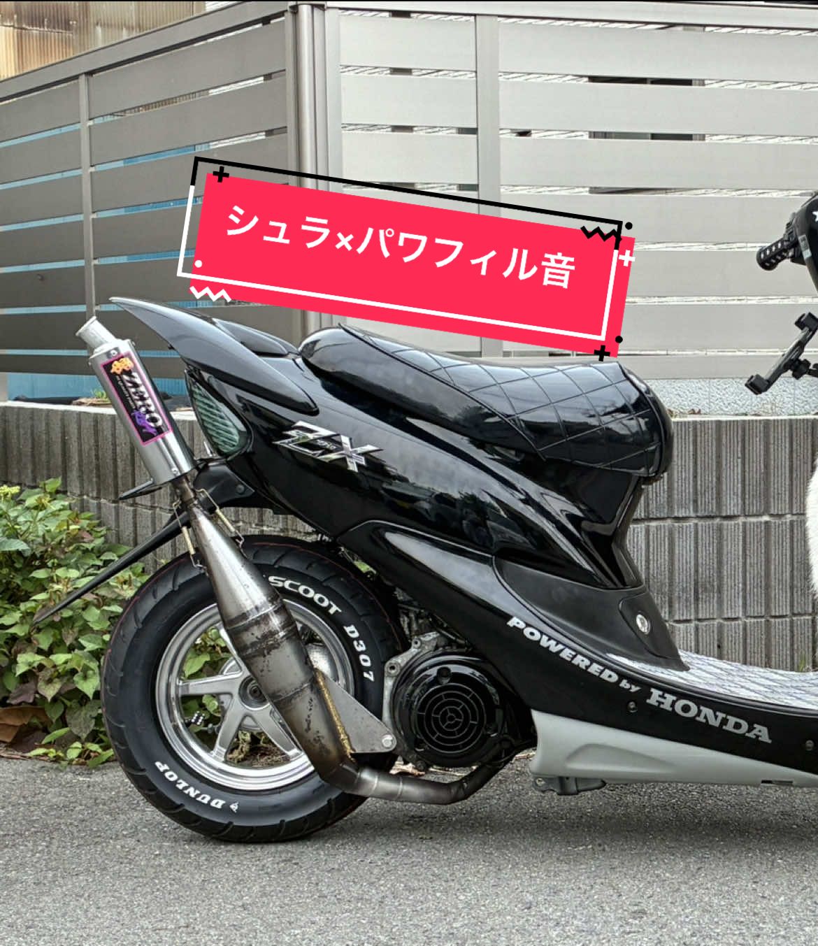 @しょーた