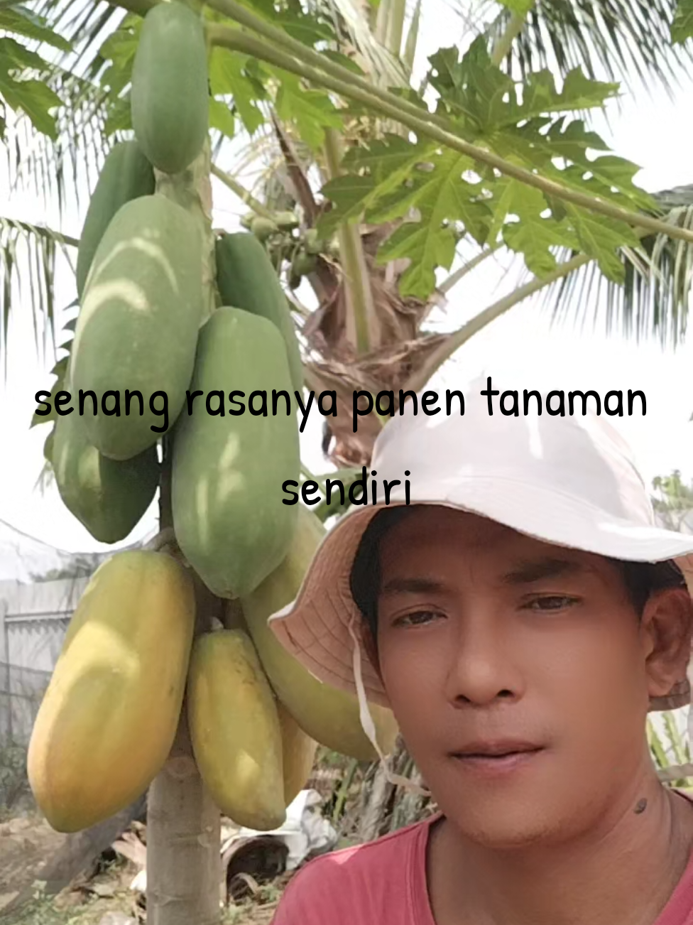 @Ganda Pakpahan