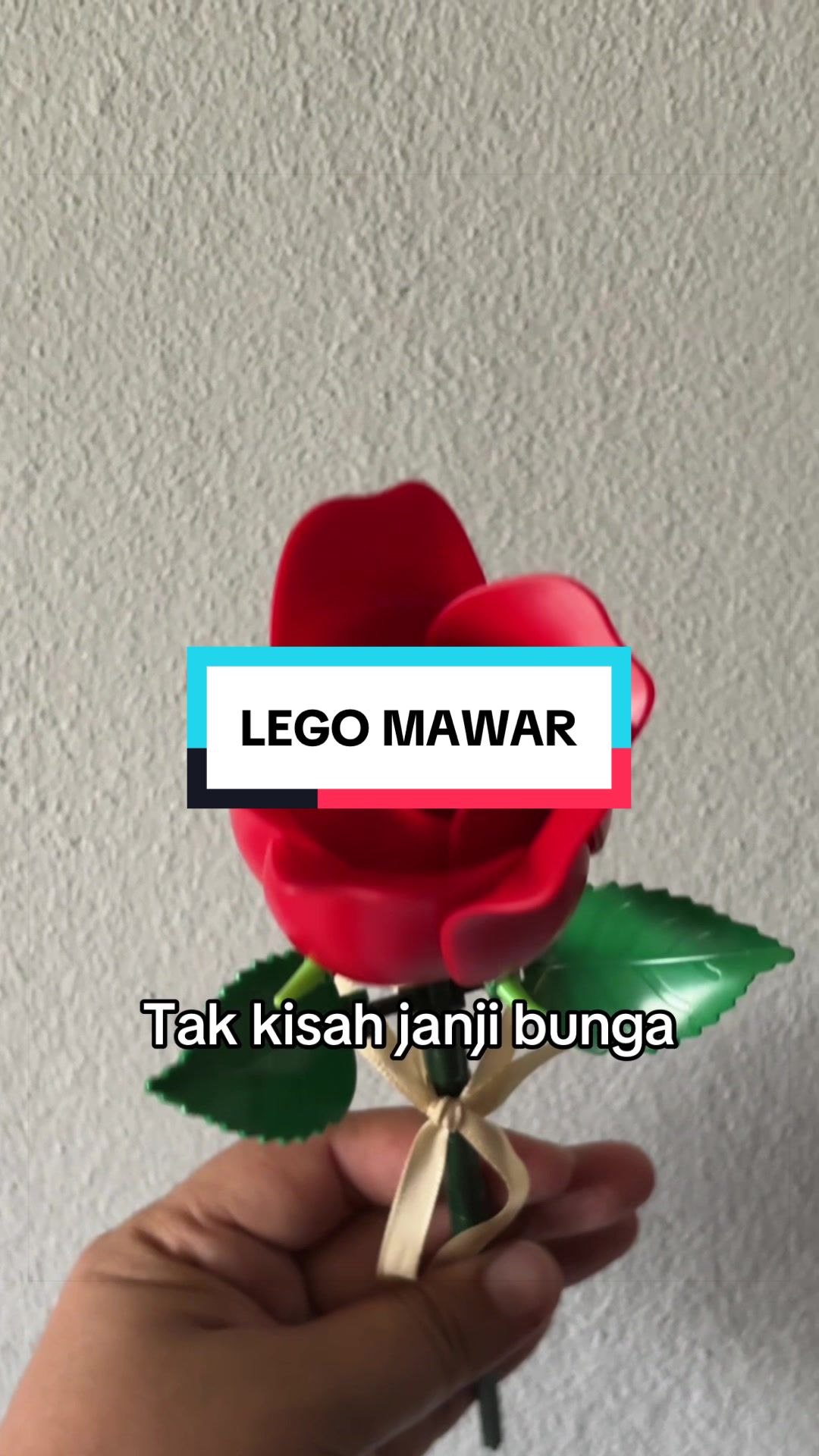 @simataduitan21