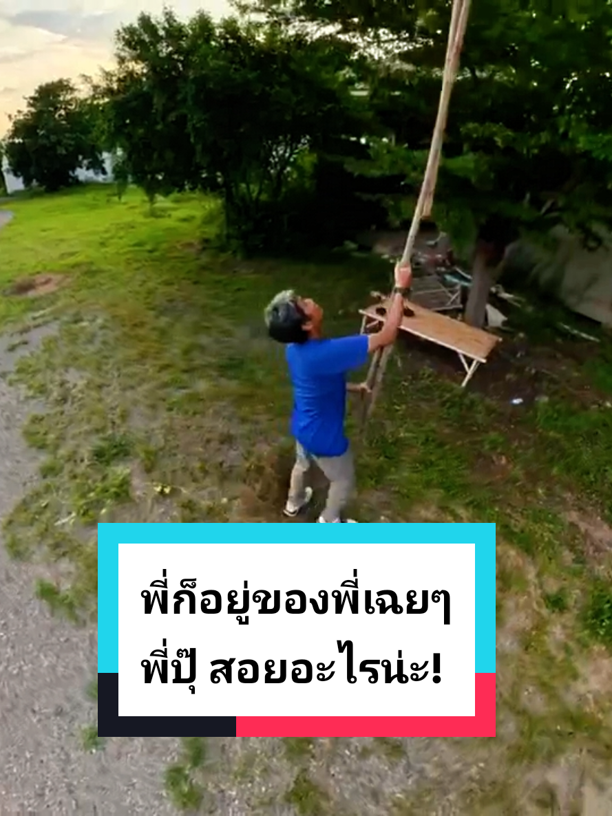@ปุ๊ บูมเมอแรง Pook Boomerang