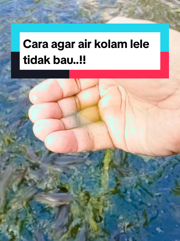 @Kang_Ewi