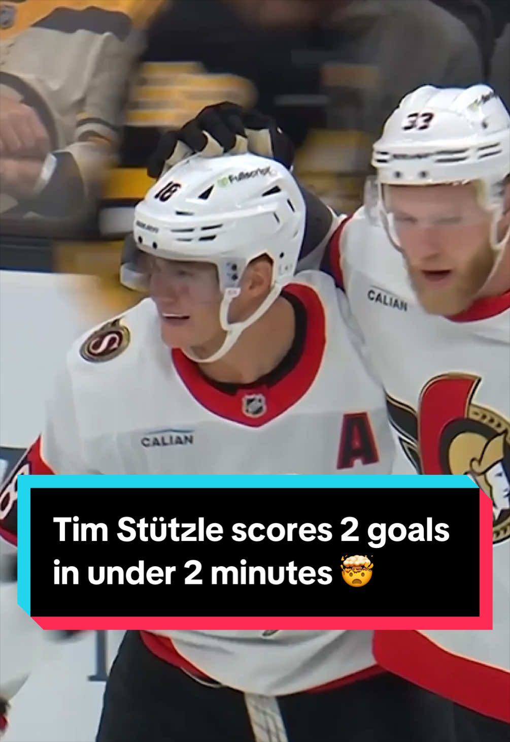 @Ottawa Senators