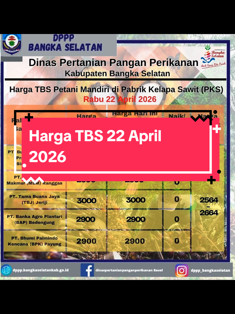 @IG Nusantara