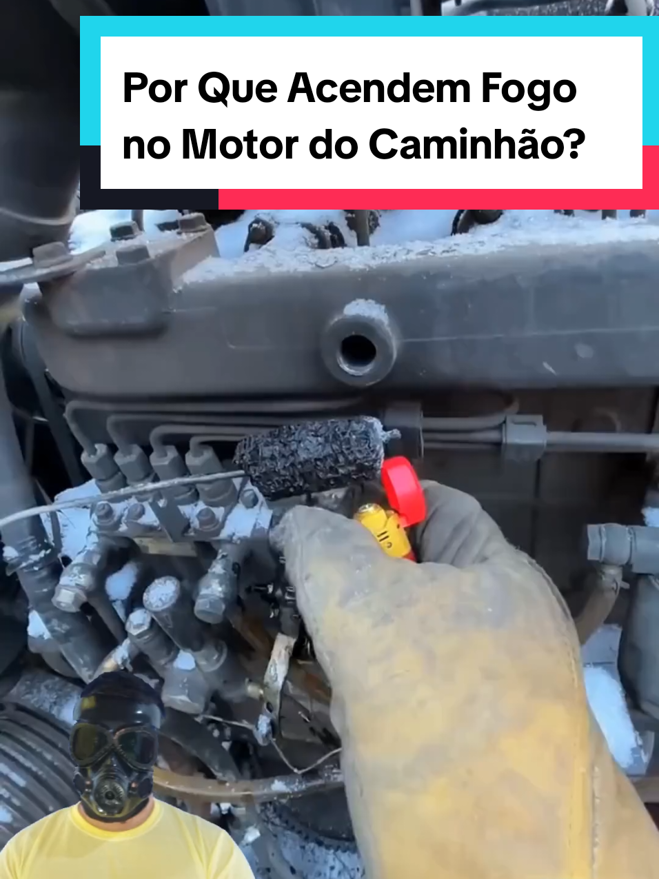 @Mundo da Curiosidades