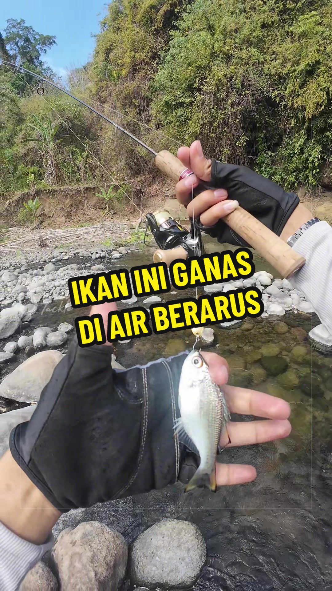 @Sleding Tackle