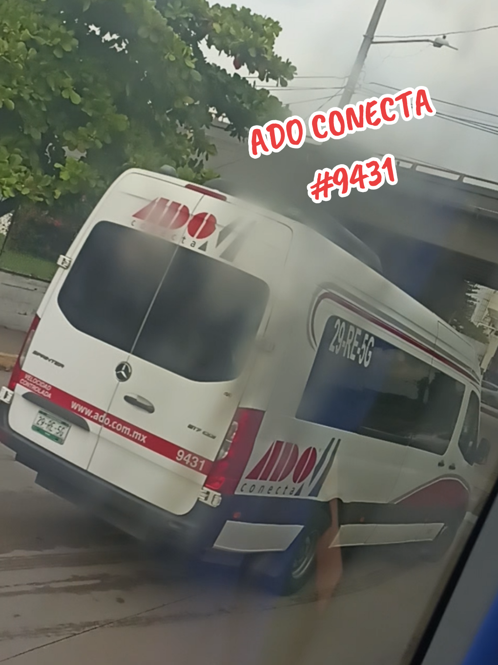 @Busologia Veracruzana 🍀🚍