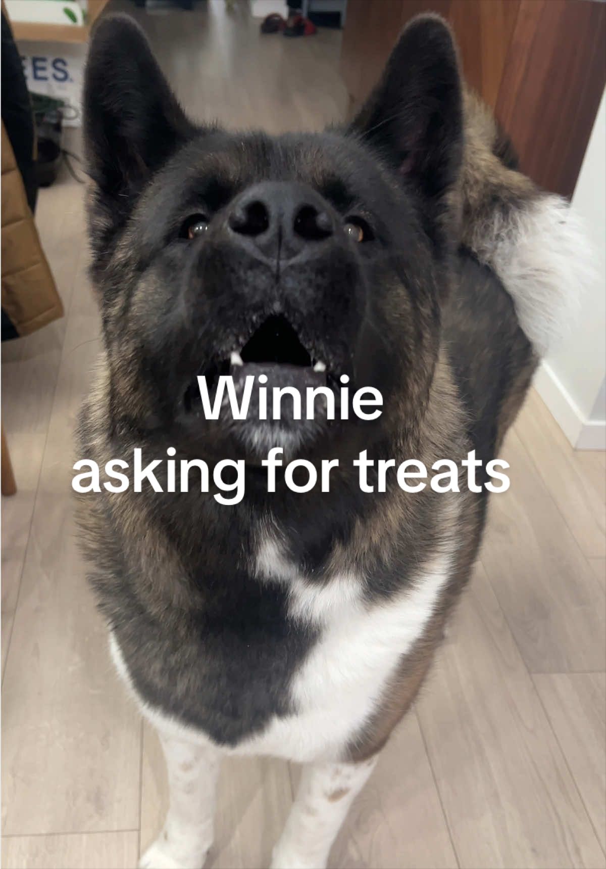 @tiara + winnie