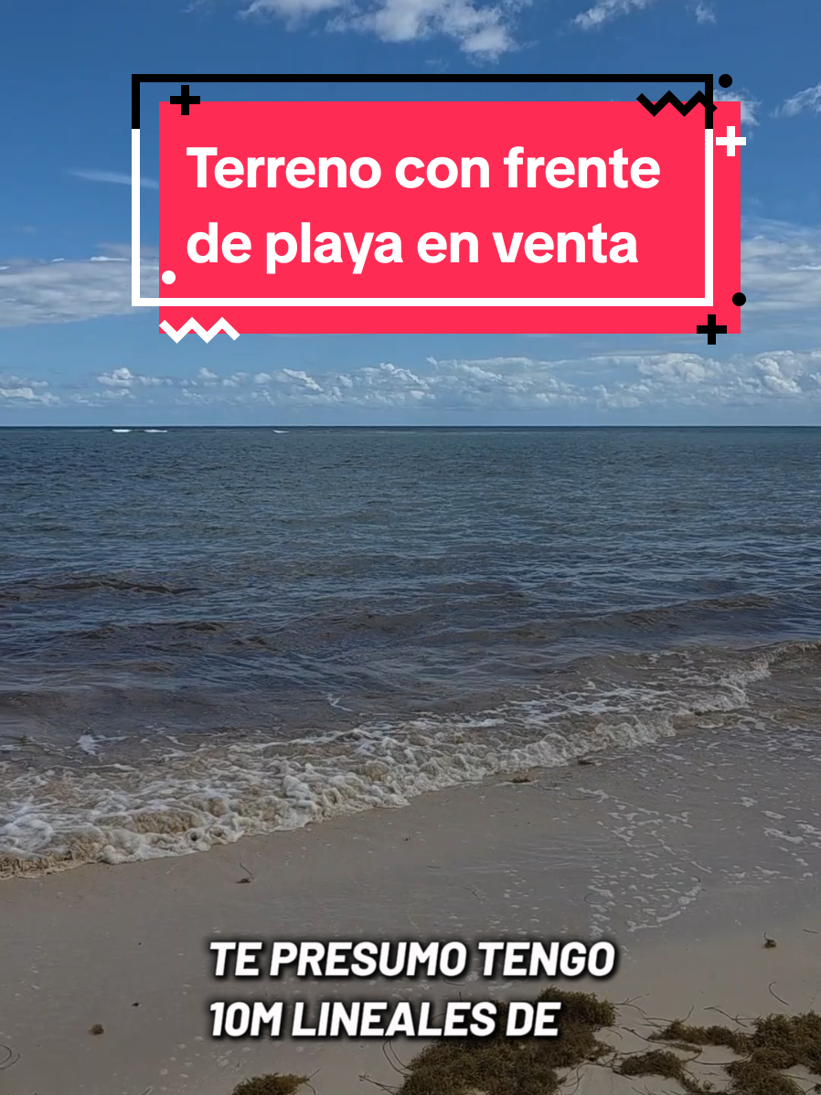 @Jose Chein - Bienes Raices