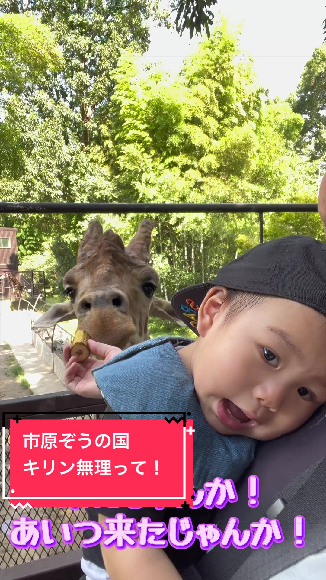 @とらままんち