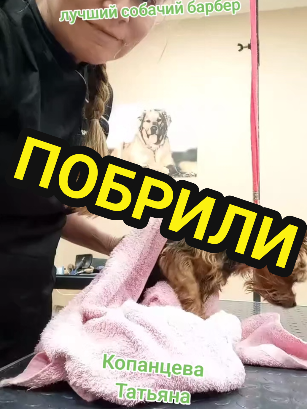 @🤟Веня Машаранский✌