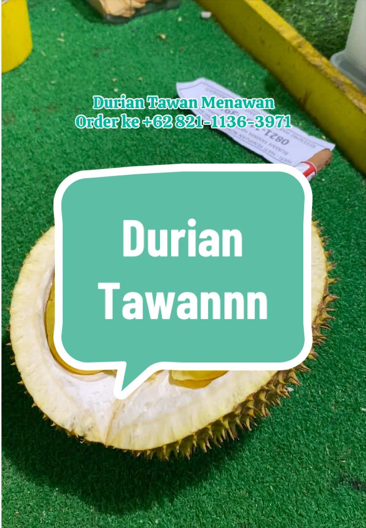 @Rumah Tamma Durian
