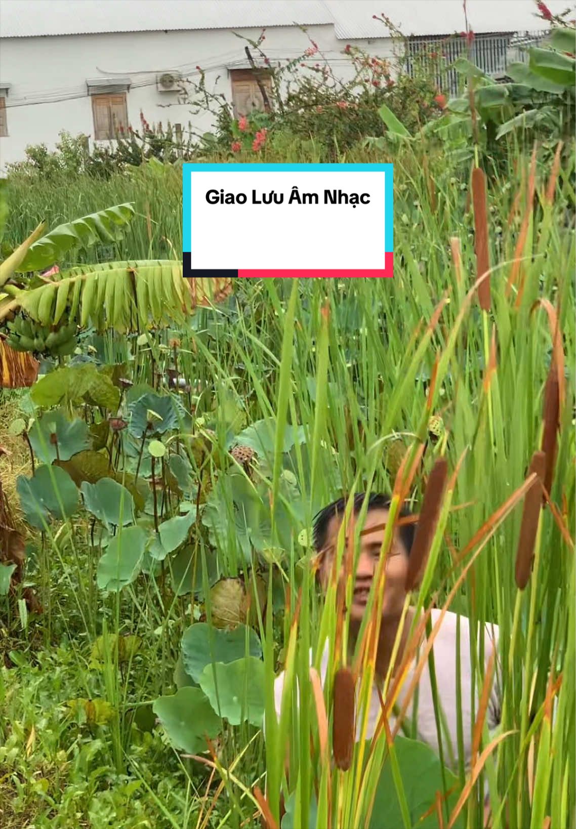 @C&ocirc; B&eacute; Xứ Phan