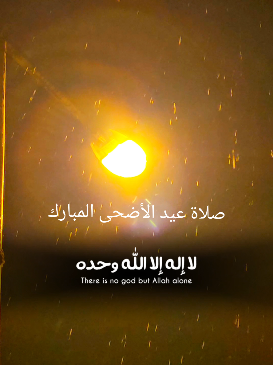 @احمد منير